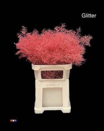 Limonium overig kleurbehandeld H%