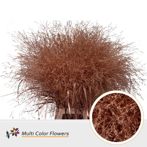 Siergras kleurbehandeld H%