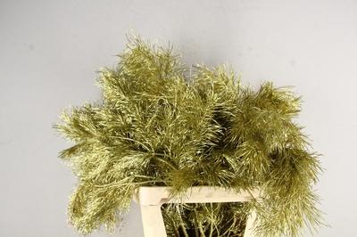 Decoratiegroen kleurbehandeld H%