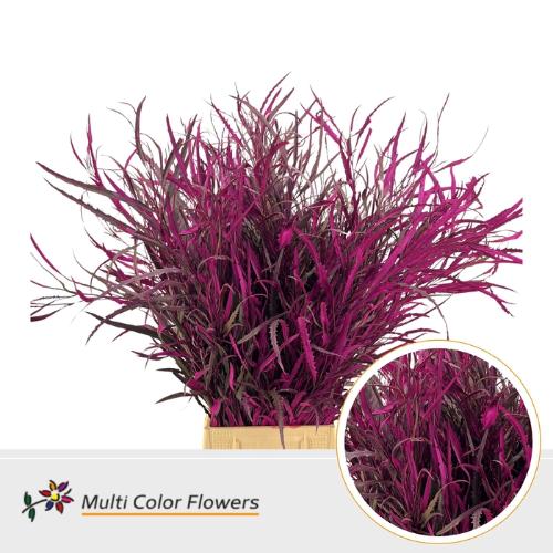 Decoratiegroen kleurbehandeld per bos H%