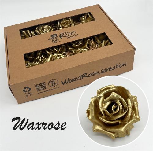 Rosa grootbloemig gewaxt H%