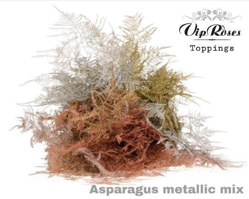 Asparagus overig kleurbehandeld H%