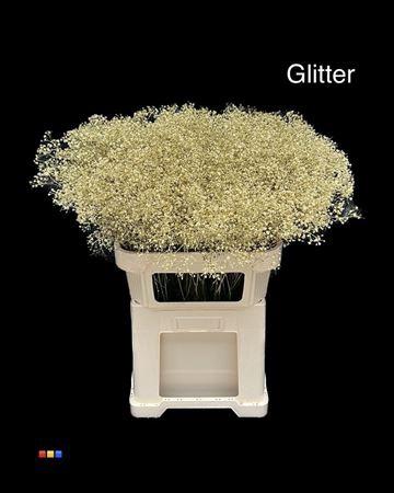 Gypsophila overig kleurbehandeld H%