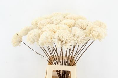 Huis en tuindecoratie overig H%