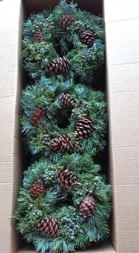 Siervruchten per stuk Sierfruit krans H%