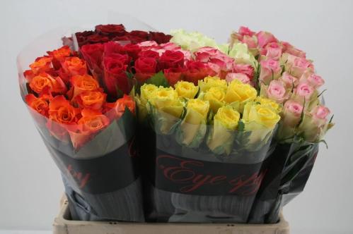 Rosa grootbloemig gemengd in fust