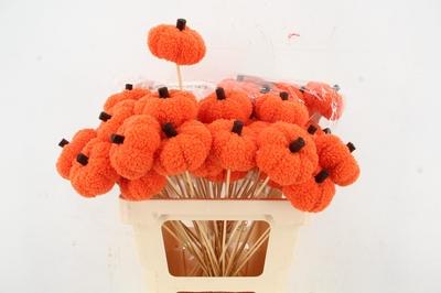 Huis en tuindecoratie overig H%