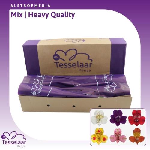 Alstoemeria gemengd in fust