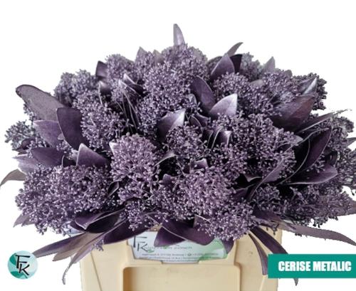 Skimmia per bos overig kleurbehandeld H%