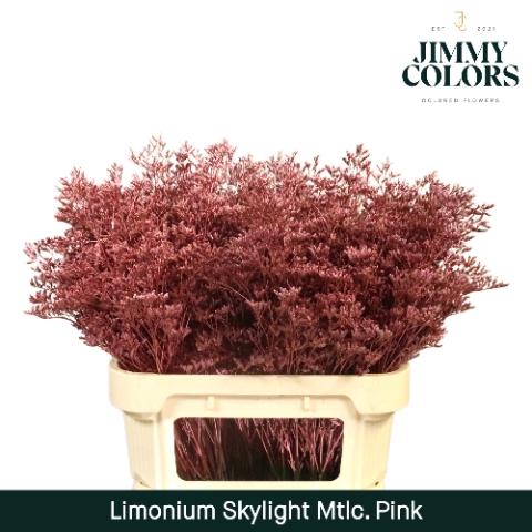 Limonium overig kleurbehandeld H%