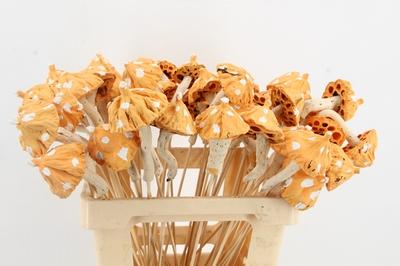 Huis en tuindecoratie overig H%