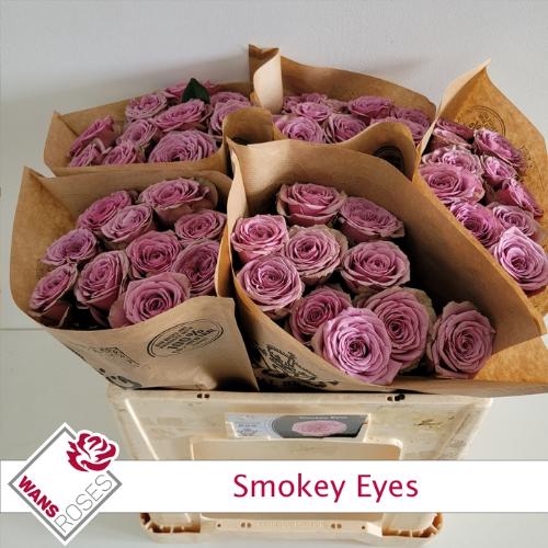 Rosa grootbloemig Smokey Eyes