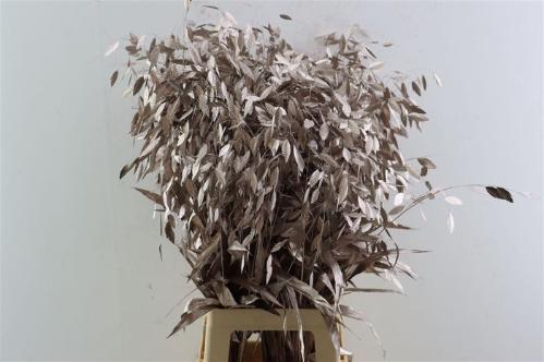 Snijbloemen overig kleurbehandeld H%