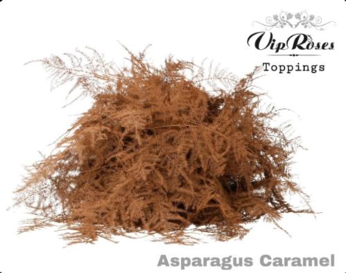 Asparagus overig kleurbehandeld H%