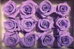 86d2d59b-60a0-44f7-9430-c2db1c7e1bbc.jpg