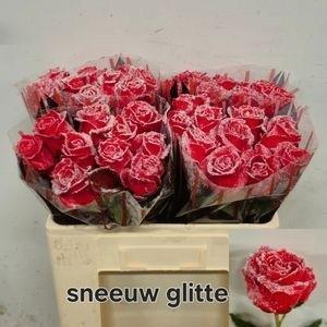 Rosa grootbloemig gewaxt H%