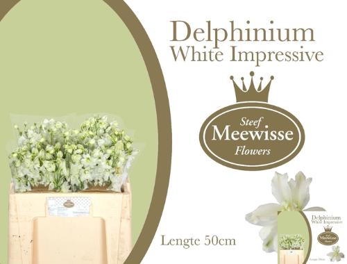 Delphinium dubbelbloemig (Elatum Grp) 'Dewi Impressive White'