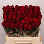 87f96eb7-89dc-4016-b109-acd2c146c70d.jpg