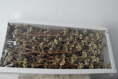 Huis en tuindecoratie overig H%