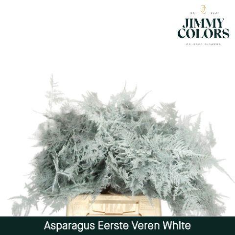 Asparagus overig kleurbehandeld H%