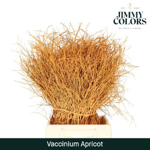 Vaccinium kleurbehandeld H%