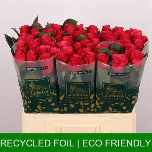 Rosa grootbloemig Tacazzi+