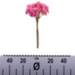 88ea5c6e-0654-4db9-a062-dead48d4bc0e.webp