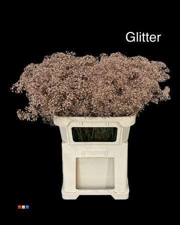 Gypsophila overig kleurbehandeld H%