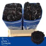 89cbce91-85b2-429c-a553-121dc09700f6.jpg