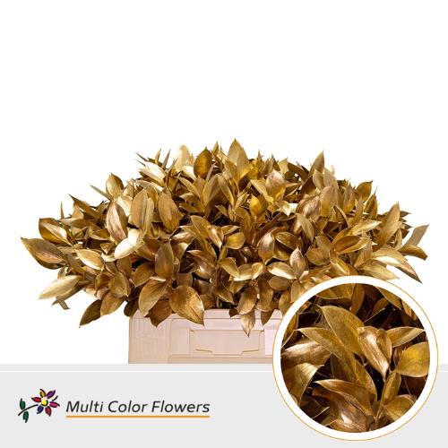 Ruscus kleurbehandeld H%