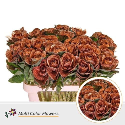 Brassica oleracea kleurbehandeld H%