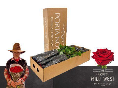 Rosa grootbloemig Red Naomi!