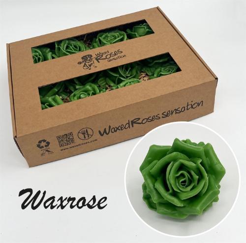 Rosa grootbloemig gewaxt H%