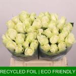 8a8312ec-4ffb-4ff9-8136-8a1dcefe29bb.jpg
