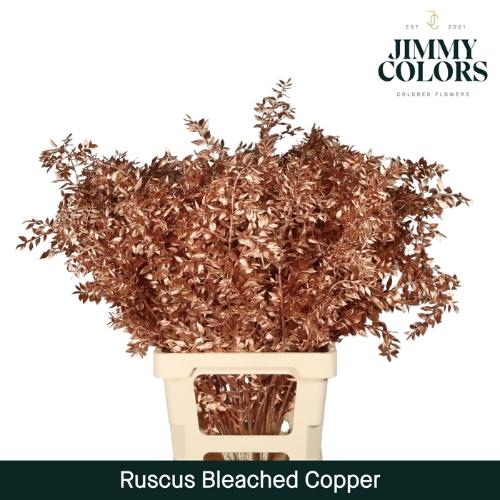 Snijbloemen overig kleurbehandeld H%