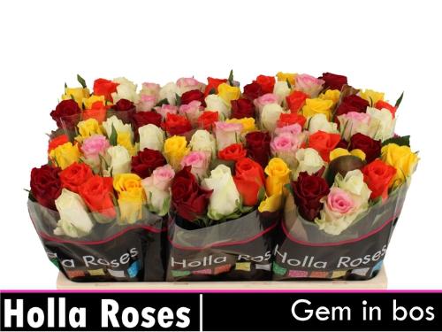 Rosa grootbloemig gemengd in bos