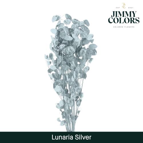 Snijbloemen overig kleurbehandeld H%