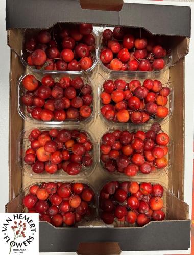 Siervruchten per bak Malus 'Red Sentinel'