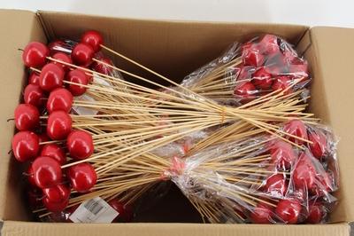 Huis en tuindecoratie overig H%