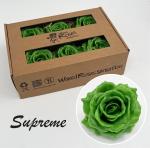 8bead04a-1890-432c-a2cb-7c0f2afa9575.jpg