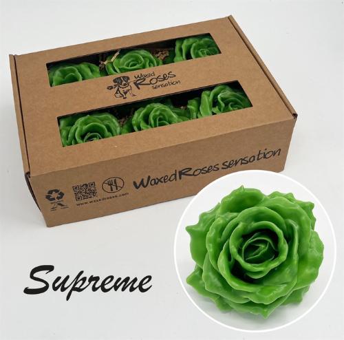 Rosa grootbloemig gewaxt H%