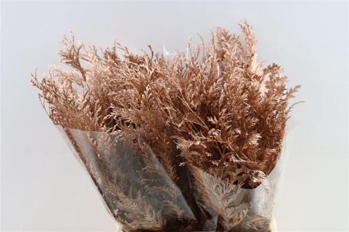 Decoratiegroen kleurbehandeld H%