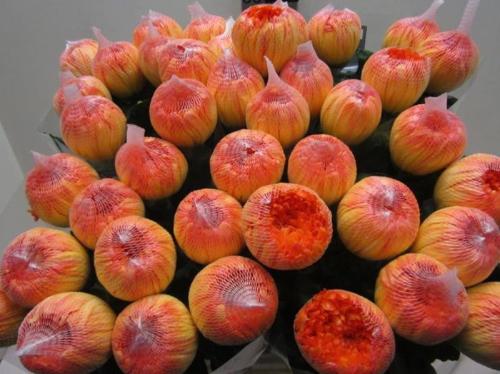 Chrysanthemum (Indicum Grp) geplozen Antonov kleurbehandeld H%