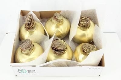 Huis en tuindecoratie overig H%