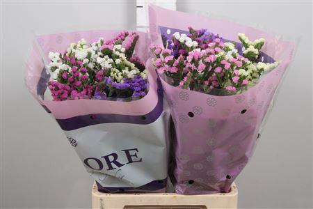 Limonium sinuatum gemengd