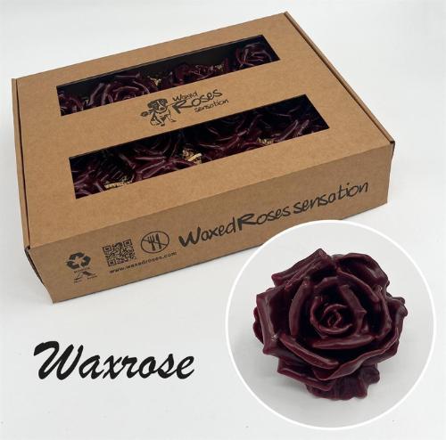 Rosa grootbloemig gewaxt H%