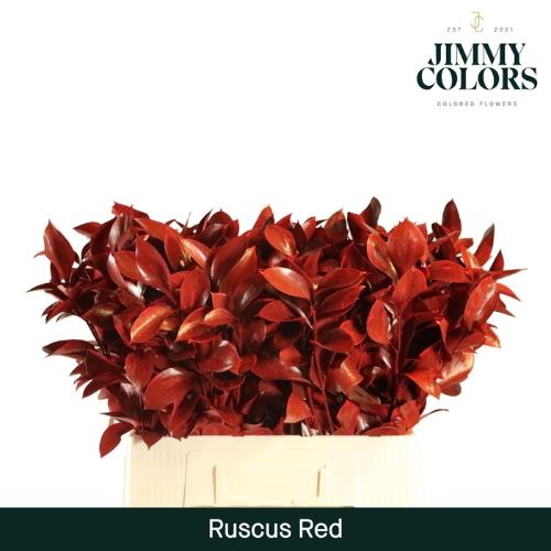 Ruscus kleurbehandeld H%
