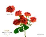 8ecc022c-9117-4d87-bd69-a3e657e20d19.jpg