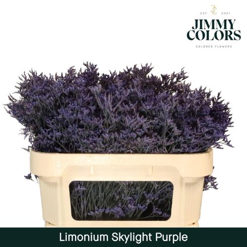 Limonium overig kleurbehandeld H%
