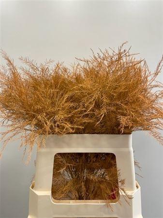 Decoratiegroen kleurbehandeld per bos H%